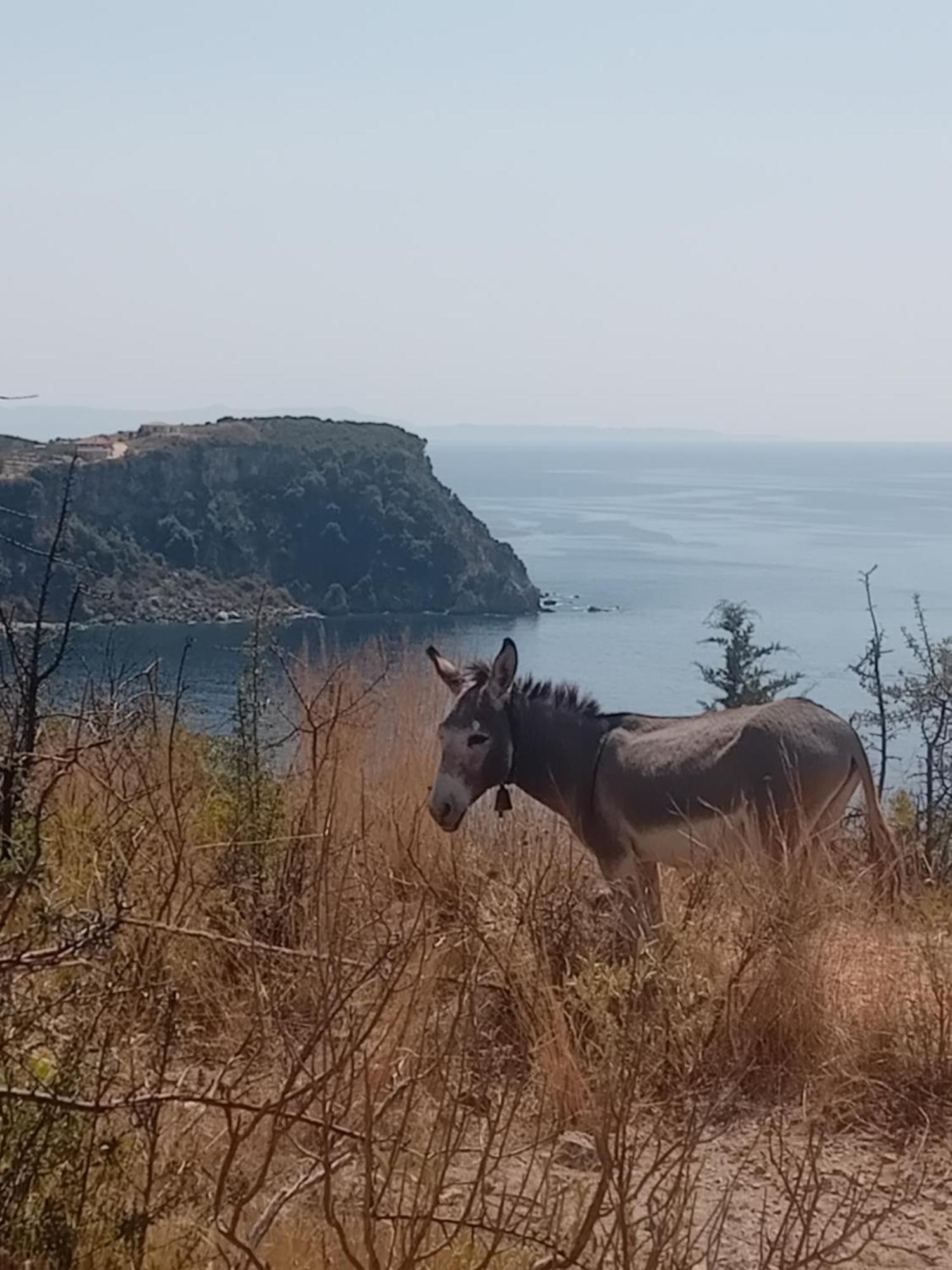 Paradise View Химара Экстерьер фото